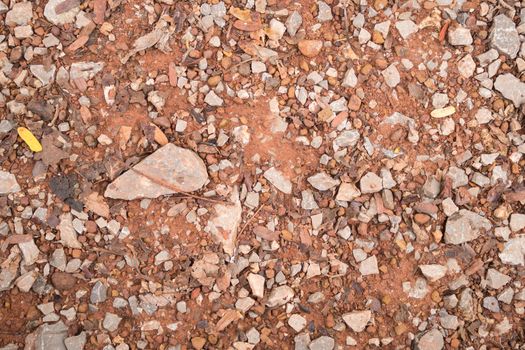 Tiny Rock or Stone and Red Brown Gravel Texture Background. Rock or Stone and Red Brown Gravel and Tree Branch Texture Background for design