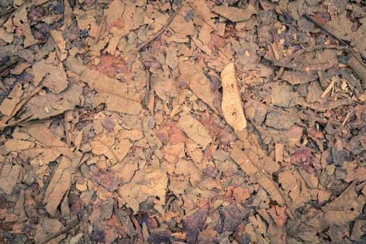 Vintage Red Brown Dried Leaves and Scrap Branch and Gravel Background. Dried Leaves and Branch and Gravel on ground for design