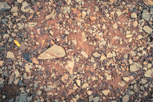 Vintage Tiny Rock or Stone and Red Brown Gravel Texture. Rock or Stone and Red Brown Gravel and Tree Branch Texture for design