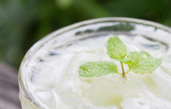 Cold Green Tea Milk Beverage or Cold Drinks Close-Up Right Frame. Green cold drinks and ice on wood table for drink