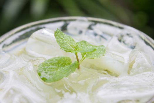 Cold Green Tea Milk Beverage or Cold Drinks Close-Up View. Green cold drinks and ice on wood table for drink