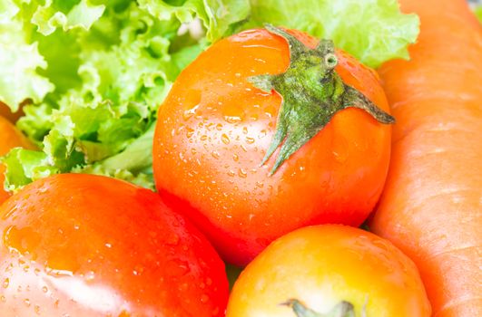 Mixed Vegetable. Tomato carrot and salad or lettuce