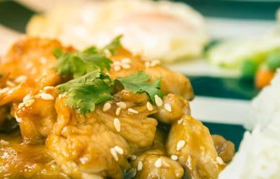 Fried Chicken with Garlic and Pepper and Fried Egg and Vegan Salad and Rice in Dish on Wood Table with Natural Light on Left Frame in Vintage Tone