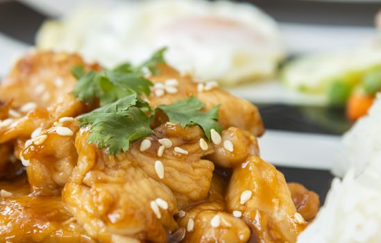 Fried Chicken with Garlic and Pepper and Fried Egg and Vegan Salad and Rice in Dish on Wood Table with Natural Light on Left Frame