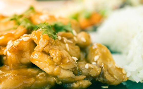 Fried Chicken with Garlic and Pepper and Rice in Dish with Natural Light on Left Frame in Vintage Tone