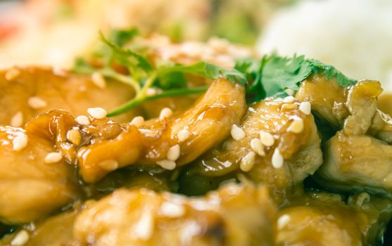 Fried Chicken with Garlic and Pepper and Rice in Dish with Natural Light in Close Up View in Vintage Tone