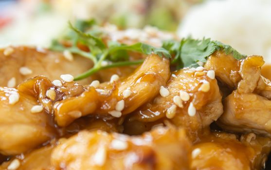 Fried Chicken with Garlic and Pepper and Rice in Dish with Natural Light in Close Up View