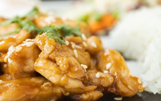 Fried Chicken with Garlic and Pepper and Rice in Dish with Natural Light on Left Frame