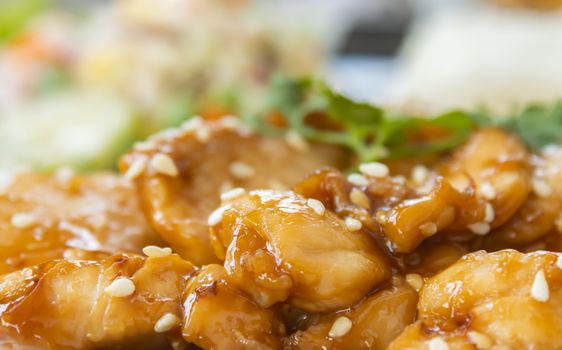 Fried Chicken with Garlic and Pepper in Dish with Natural Light in Zoom View