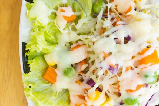 Healthy Salad include Carrot and Corn and Peas and Tomato and Cabbage with Mayonnaise Topping with Natural Light on Right Frame