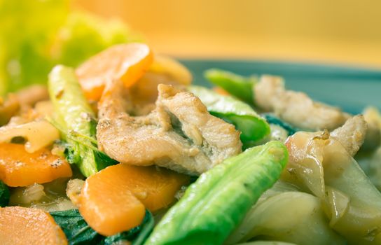 Stir Fried Noodle and Pork and Carrot and Yardlong Beans and Lettuce with Black Soy Sauce with Natural Light in Zoom View in Vintage Tone