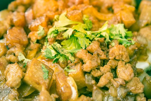 Stir Fried Pork with Onion and Garlic and Black Soy Sauce and Coriander Topping and Tofu with Natural Light in Close Up View in Vintage Tone