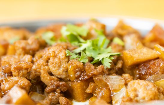 Stir Fried Pork with Onion and Garlic and Black Soy Sauce and Coriander Topping in Zoom View with Natural Light