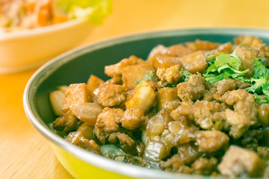 Stir Fried Pork with Onion and Garlic and Black Soy Sauce and Coriander Topping and Tofu with Natural Light on Right Frame in Vintage Tone