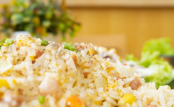 Thai Sour Pork Fried Rice and Salad in Dish with Natural Light in Close Up View on Left Frame