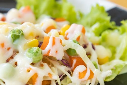 Vegan Salad or Vegetarian Salad on Left Frame include Carrot and Peas and Corn and Lettuce and Cabbage with Natural Light