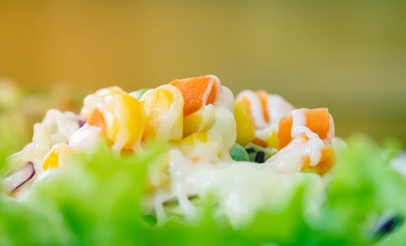 Vegan Salad with Mayonnaise Topping in Close Up View include Carrot and Tomato and Corn and Cabbage and Peas and Lettuce on Half Frame in Vintage Tone