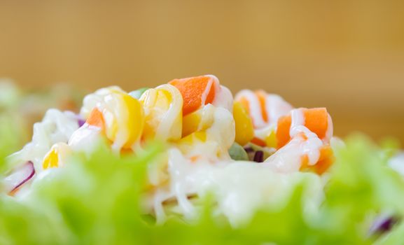 Vegan Salad with Mayonnaise Topping in Close Up View include Carrot and Tomato and Corn and Cabbage and Peas and Lettuce on Half Frame