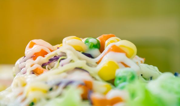 Vegetarian Salad with Mayonnaise Topping in Close Up View include Carrot and Tomato and Corn and Cabbage and Peas and Lettuce on Half Frame in Vintage Tone