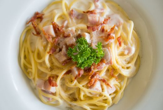 Spaghetti Carbonara with Bacon and Ham and Parsley and Mayonnaise Sauce. Spaghetti Carbonara with Bacon and Ham in mayonnaise cream sauce for food and drink category. 
Spaghetti Carbonara with Bacon breakfast