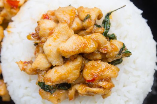 Stir-Fried Chicken and Holy Basil on Rice or Thai Food Recipe Flatlay Center Frame. Stir-Fried Chicken and Holy Basil with white rice on black dish