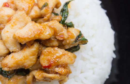 Stir-Fried Chicken and Holy Basil on Rice or Thai Food Recipe Flatlay Left Frame. Stir-Fried Chicken and Holy Basil with white rice on black dish