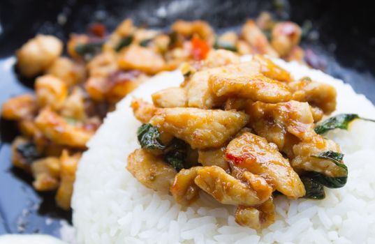 Stir-Fried Chicken and Holy Basil on Rice or Thai Food Recipe Right Frame. Stir-Fried Chicken and Holy Basil with white rice on black dish