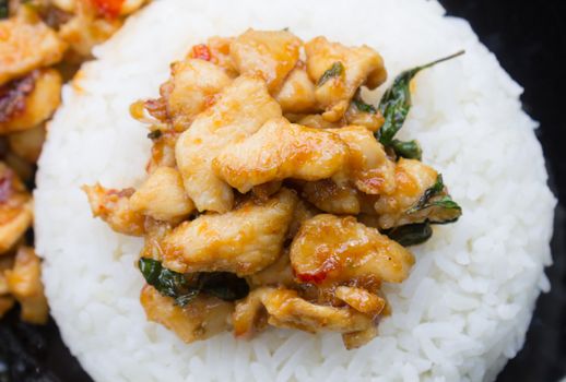 Stir-Fried Chicken and Holy Basil on Rice or Thai Food Recipe Center Frame. Stir-Fried Chicken and Holy Basil with white rice on black dish