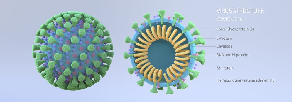 3d rendering of virus structure.