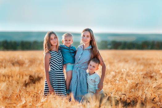 Happy kids having fun in golden wheat field at the sunset