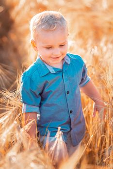 Cute baby boy running down golden wheat field at the sunset