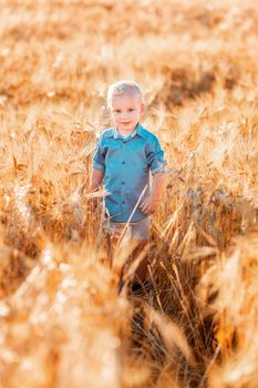 Cute baby boy running down golden wheat field at the sunset