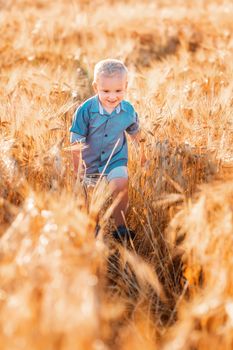 Cute baby boy running down golden wheat field at the sunset