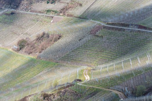 Winding Road through the vineyards on the Mosel in Germany.