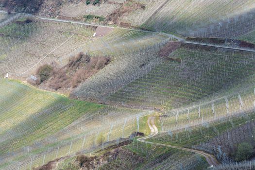 Winding Road through the vineyards on the Mosel in Germany.