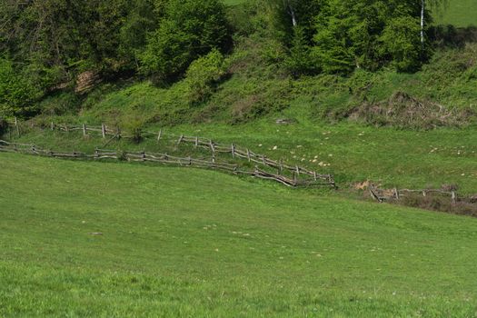 Panorama of a typical alpine meadow with wood fence.
Mountain and valley