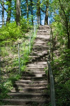 Forest trail, hiking trail in Neandertal with steep stairs