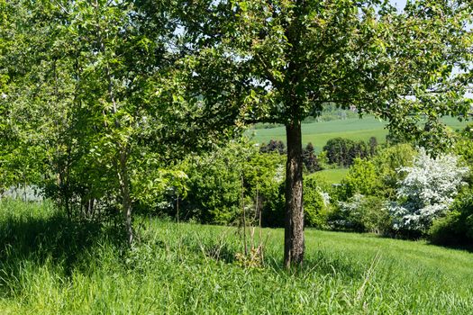 Nature landscape on small hills and blue sky with cloudN