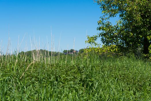 Nature landscape on small hills and blue sky with cloudN