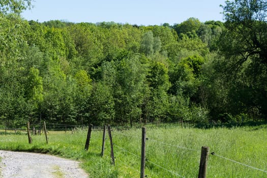 Nature landscape on small hills and blue sky with cloudN