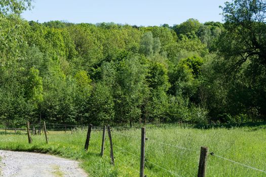 Nature landscape on small hills and blue sky with cloudN