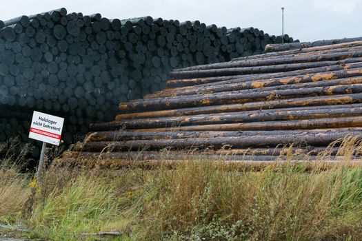 BAD WILDUNGEN, HESSEN, GERMANY - OKTOBER 30, 2018:
Wood yard business. Wood stacked outdoors. Concept forest industry environment.
Felled tree trunks are sprayed with water to protect them against wood pests