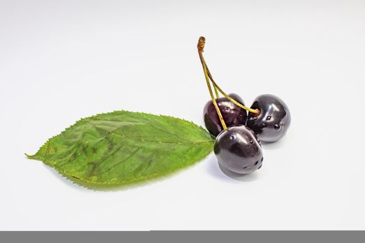 red cherries on a white background