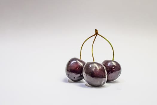red cherries on a white background
