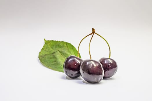 red cherries on a white background