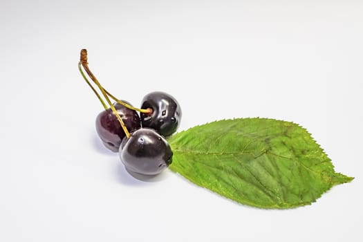 red cherries on a white background