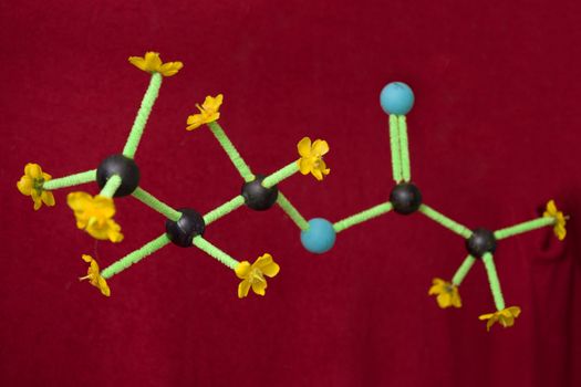 Floating on a red blanket background, a home school chemistry science project creation that represents propyl ethanoate or propyl acetate is shown.