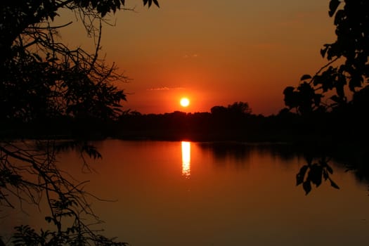 A great sunset with a lake view and bushes in the foreground