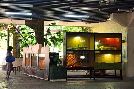 BANGKOK, TH - DEC 13: Display animal showcase at Dusit Zoo on December 13, 2016 in Khao Din Park, Bangkok, Thailand. Dusit Zoo is the oldest zoo in Bangkok, Thailand.