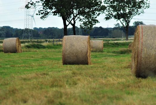 Round bales of hay on the pasture